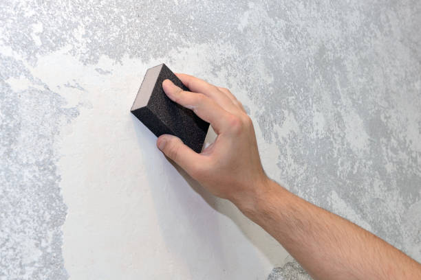 Environmental Consulting for Mold Prevention in Macom, IL
