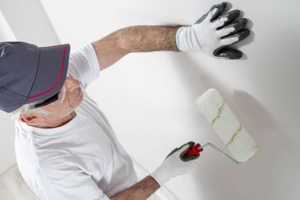 Best Residential Mold Inspection & Testing  in Macom, IL