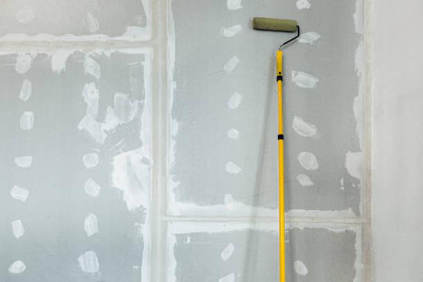 Best Commercial Mold Inspection  in Macom, IL
