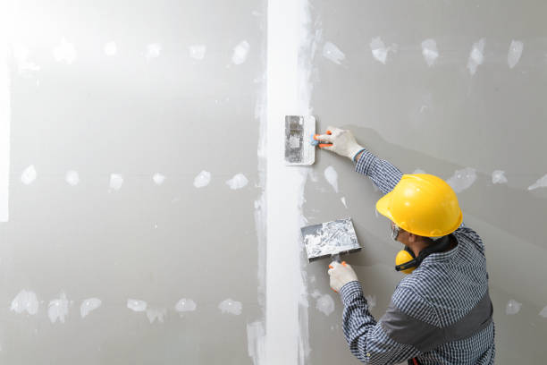  Macom, IL Mold Removal Pros