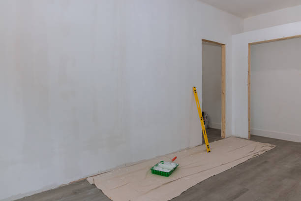 Best Post-Construction Mold Inspection  in Macom, IL