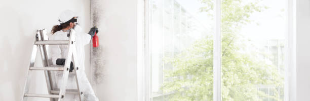 Best Air Quality Testing for Mold Spores  in Macom, IL