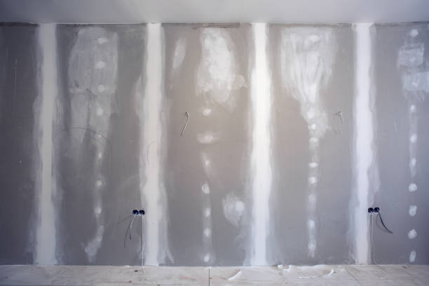 Best Mold Odor Removal Services  in Macom, IL
