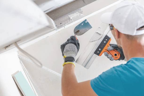 Best Crawl Space Mold Remediation  in Macom, IL